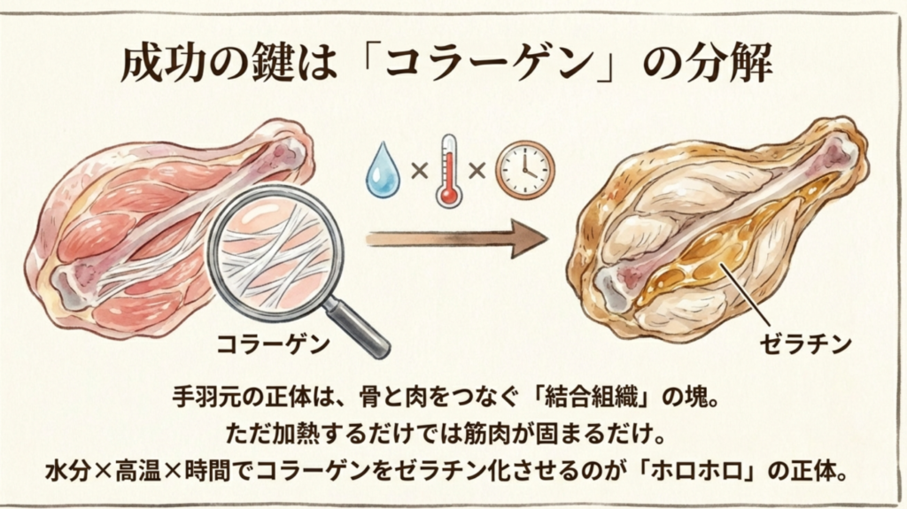 手羽元のコラーゲンが加熱と水分によってゼラチン化し、ホロホロになる仕組みの図解