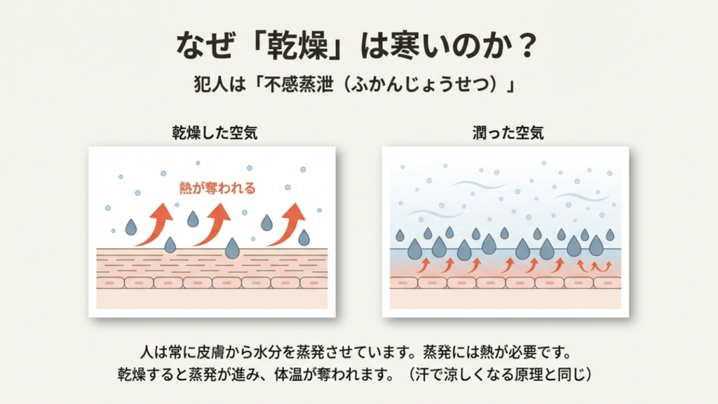 乾燥した空気中で皮膚から水分が蒸発し、気化熱によって体温が奪われる仕組みのイラスト