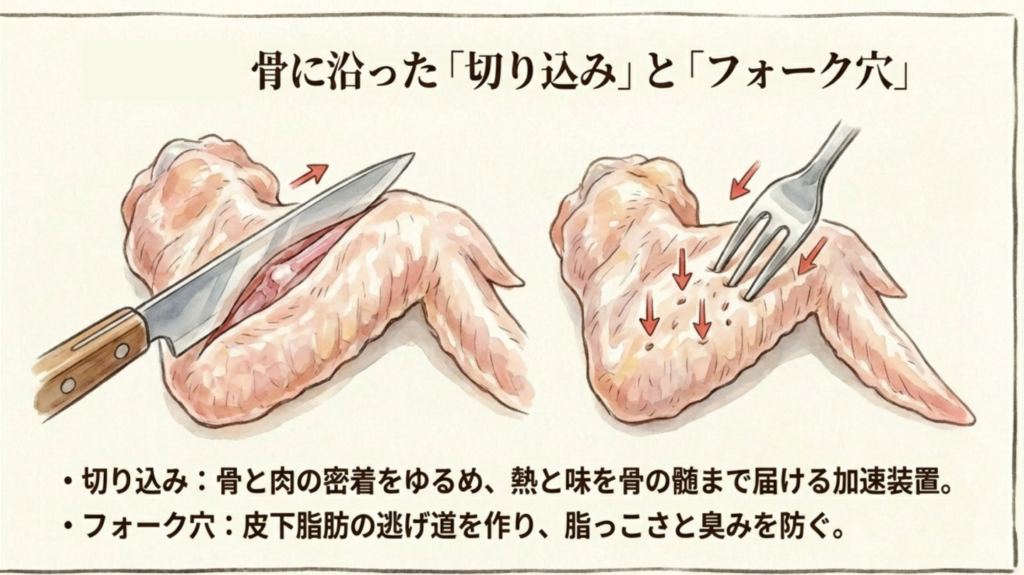 手羽元の骨に沿った切り込みの入れ方と、皮へのフォーク穴の開け方イラスト