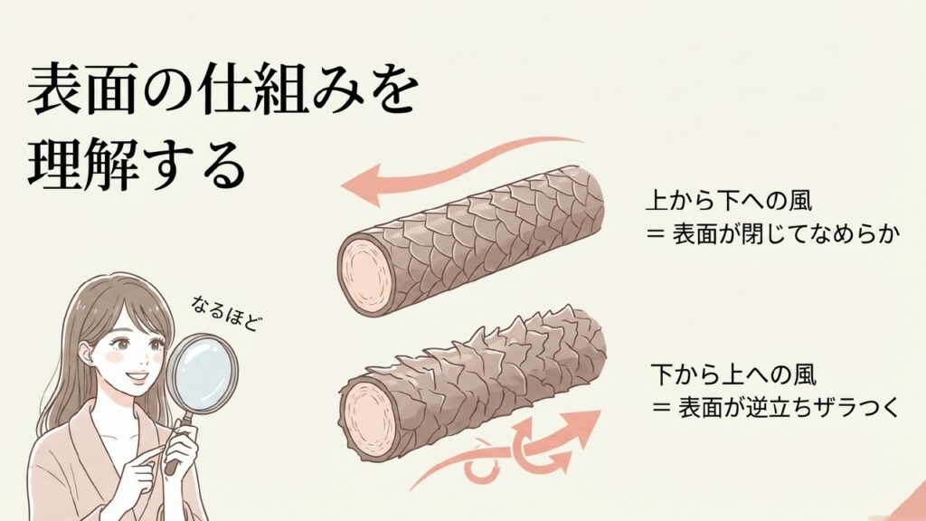 上から下への風でキューティクルをなめらかに整える仕組み