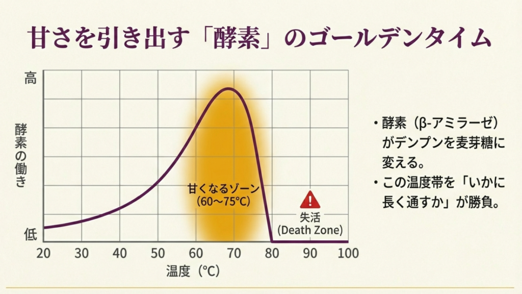 β-アミラーゼ酵素が甘くなる温度帯グラフ